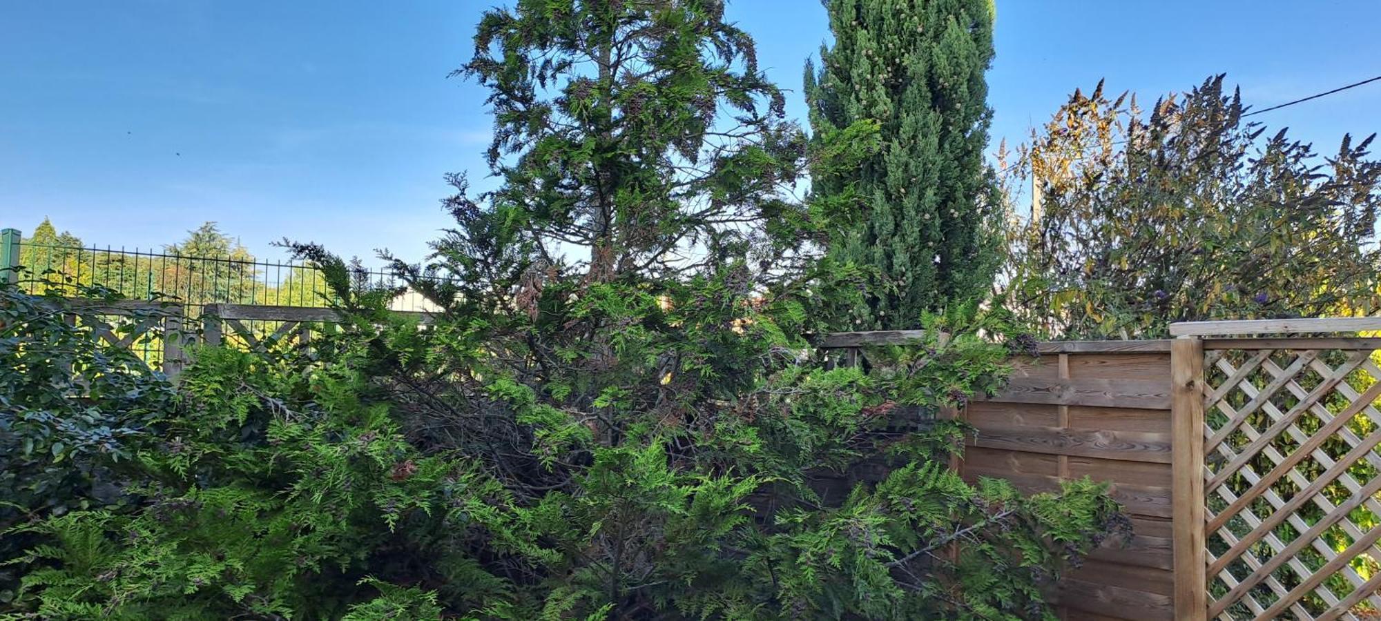 Villa Des Climats Bourgogne Marsannay-la-Côte Dış mekan fotoğraf