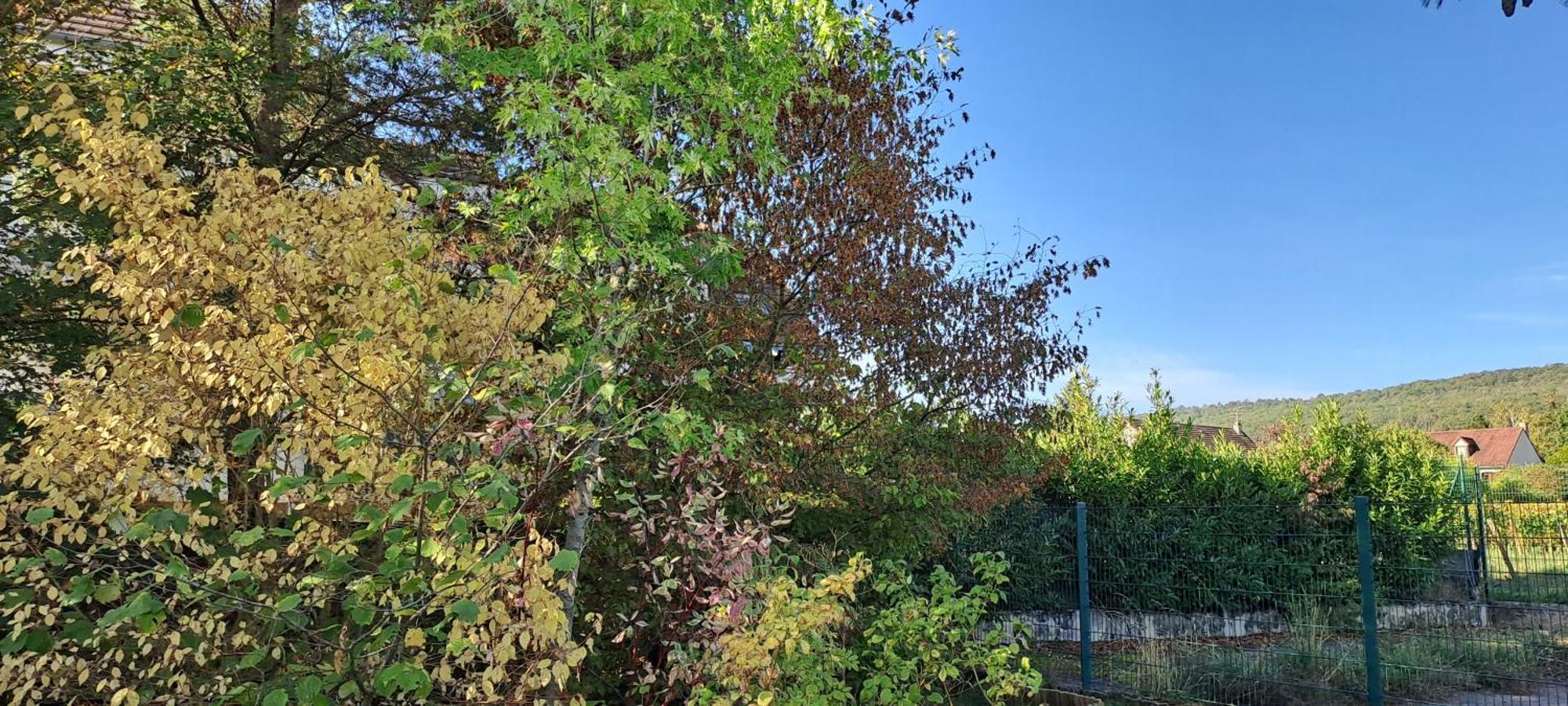 Villa Des Climats Bourgogne Marsannay-la-Côte Dış mekan fotoğraf